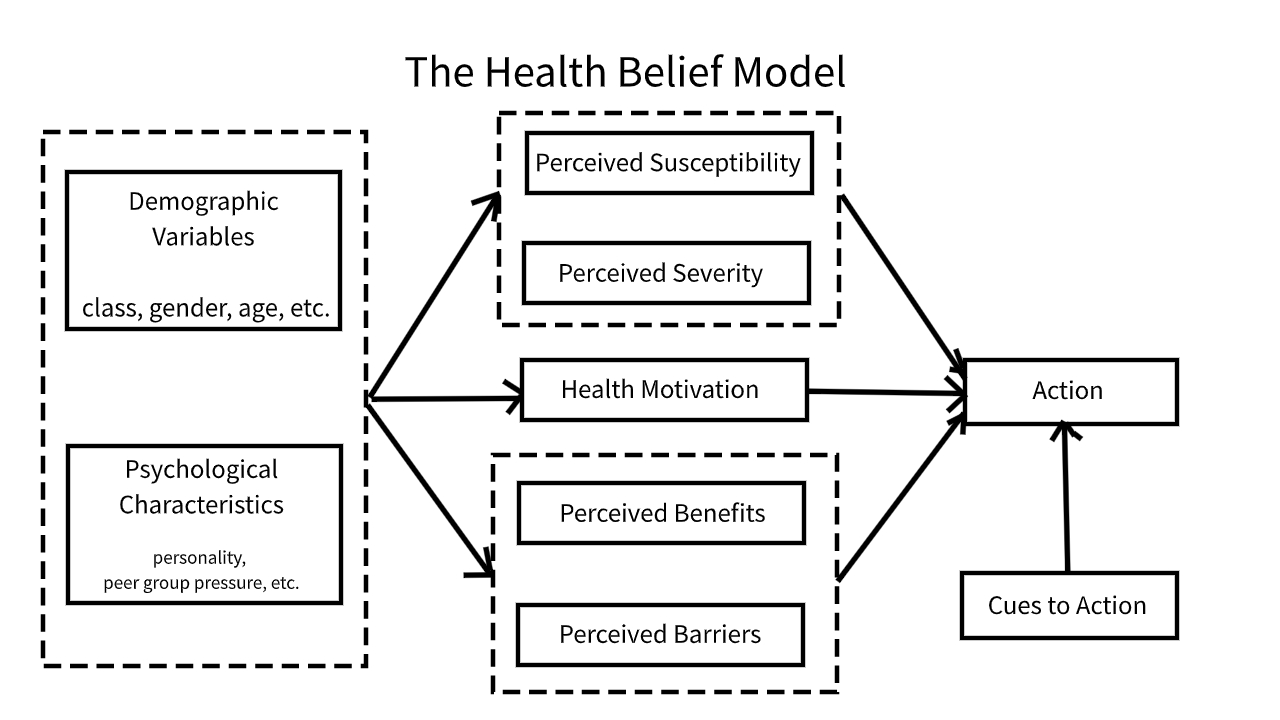 The Health Belief Model maps how a patient's perceived susceptibility and severity of a disease directly influence their likelihood to adopt and maintain preventive health behaviors.