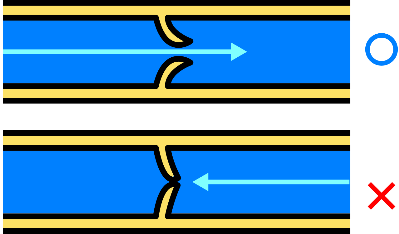 Diagram of a venous valve, an internal mechanism that prevents the backward pooling of blood in low-pressure veins.