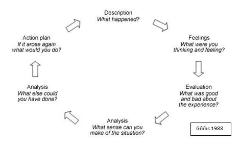 Graham Gibbs's model of reflection visualizes the cyclical process of reflective writing, breaking down an experience from concrete description through active evaluation and future action planning.