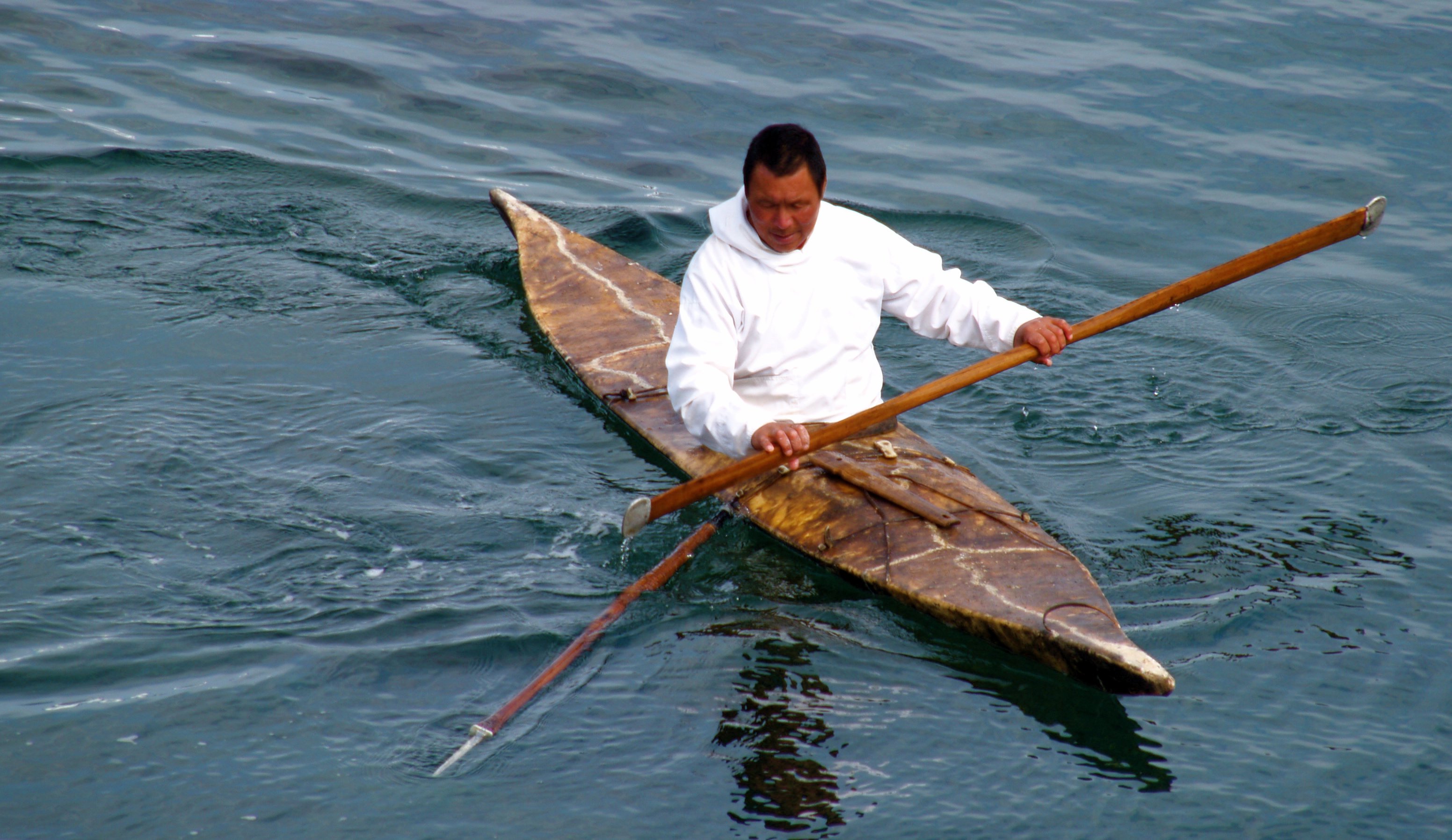 An Inuit hunter in a kayak armed with a harpoon, demonstrating the heavy reliance on marine mammals for survival in the extreme Arctic climate.