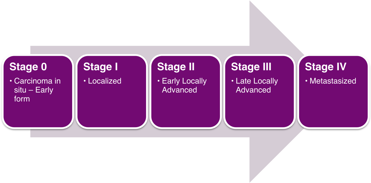 Roman numerals are preserved in healthcare classifications, such as the stages of cancer progression, because their distinct letter-based structure prevents them from being confused with Arabic numerals used for patient dosages and vital signs.