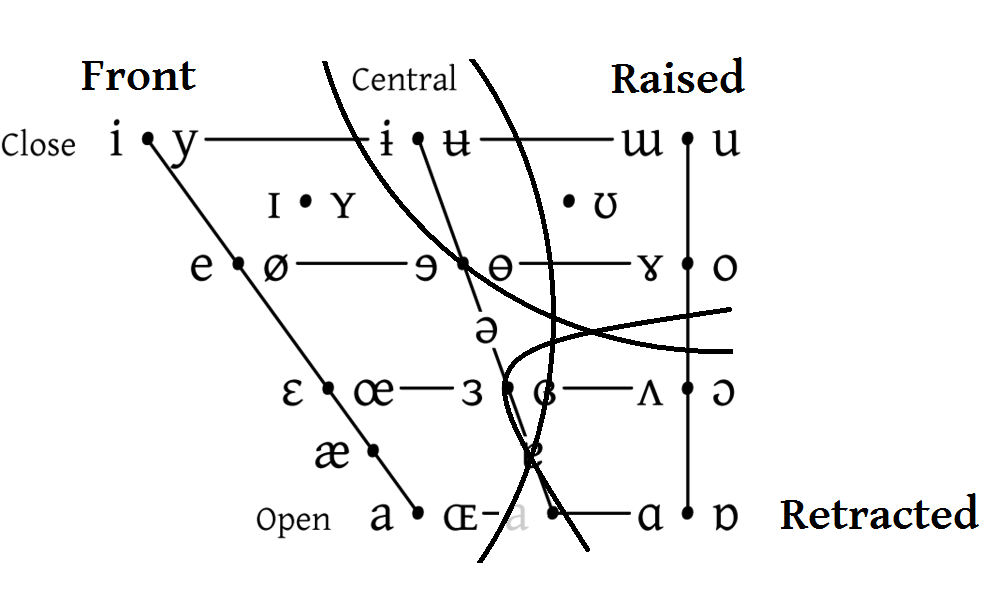 Articulatory vowel charts map the physical dimensions of the mouth, demonstrating how the relative openness of the jaw and the retraction or raising of the tongue dictate different vowel sounds.
