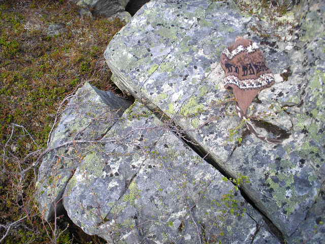 A boulder fractured by mechanical weathering, demonstrating how physical forces like frost wedging break down rocks without altering their chemical makeup.
