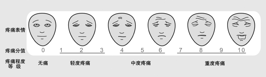 A visual and numeric pain scale bridging the communication gap, allowing children to match their internal discomfort to a corresponding expression or number.