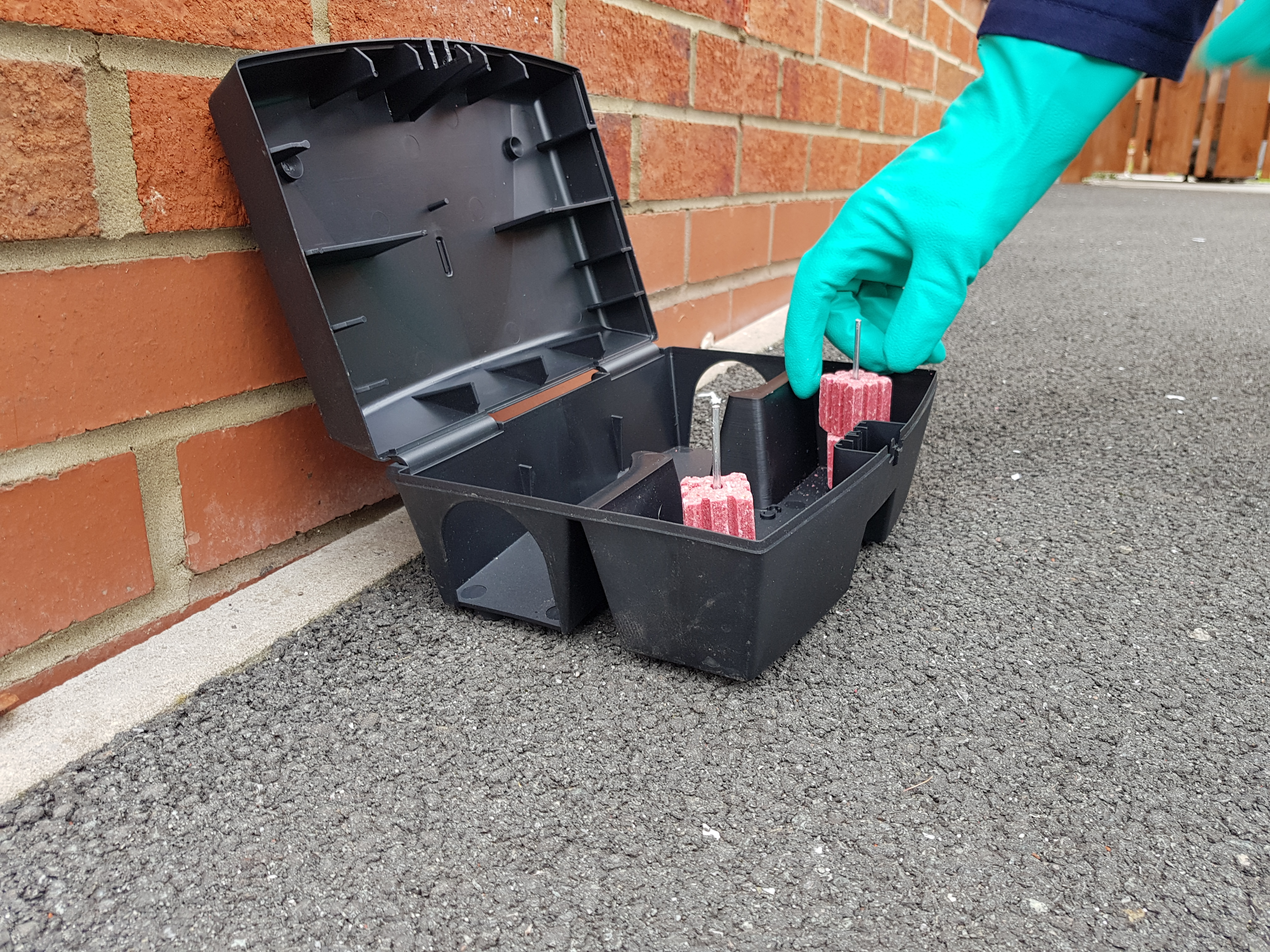 Pest extermination responsibilities shift based on the property type. While multi-unit landlords bear full responsibility, single-family tenants must handle pest infestations that occur after they take occupancy.