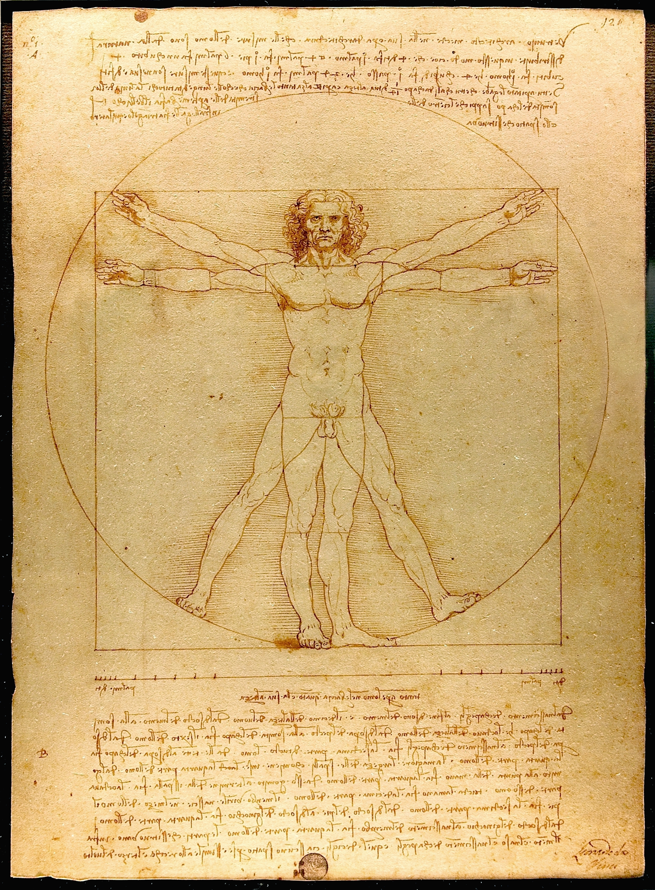 Leonardo da Vinci's "Vitruvian Man" visually captures the Renaissance Humanist shift, placing the idealized, mathematically proportioned human individual—rather than the divine—at the very center of the universe.