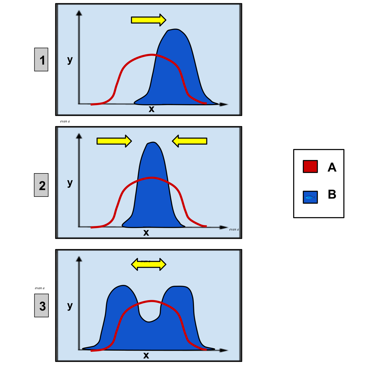 Population phenotypes shift under three primary modes of selection: directional (favoring one extreme), stabilizing (favoring the intermediate), and disruptive (favoring both extremes).