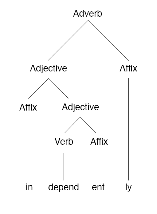 A morphological tree illustrating how the foundational root word "depend" is modified by multiple affixes to construct the complex word "independently."