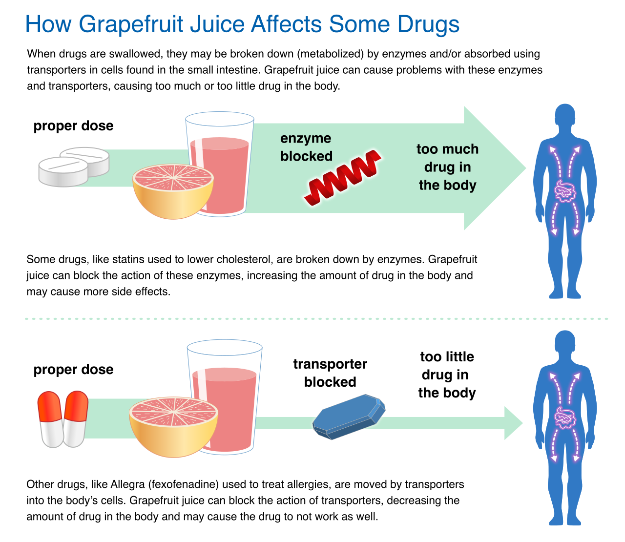 An FDA infographic highlighting the dangers of grapefruit-drug interactions. Grapefruit juice inhibits the CYP3A4 enzyme, preventing drug breakdown and leading to potential toxicity.