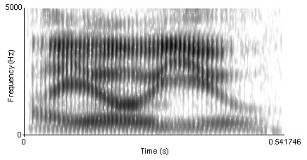 A spectrogram reveals that spoken phrases are actually continuous acoustic streams without clear boundaries. This explains why segmenting individual phonemes out of natural speech is a challenging cognitive task for early learners.