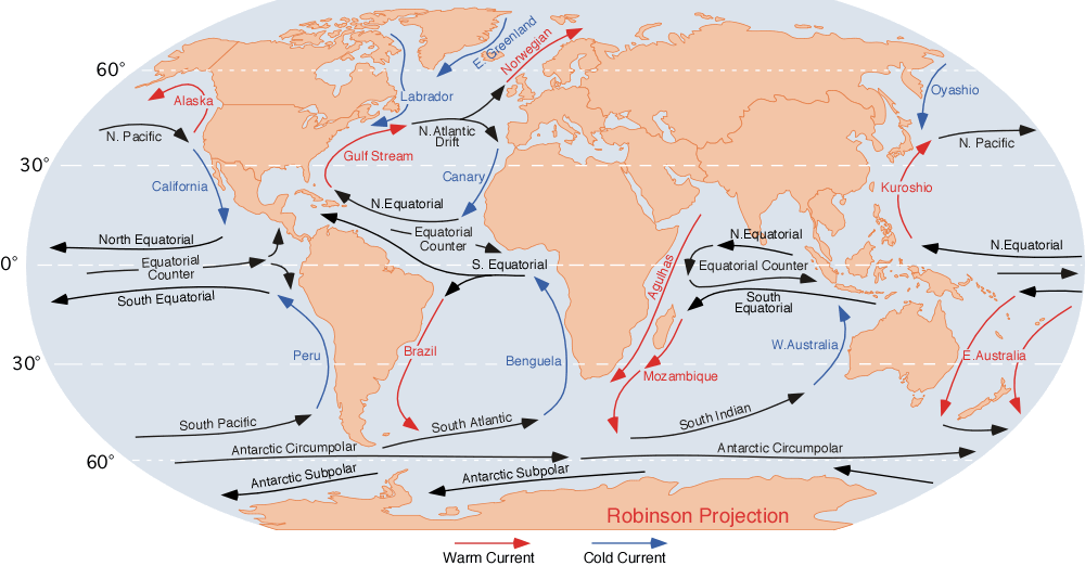 While a broad topic like ocean surface currents establishes the subject matter, the central idea asserts a specific claim about how those currents function to regulate global climate.