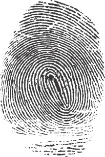 A fingerprint — one of the identifiers, alongside footwear impressions and photographs, that PACE Code D governs when police establish a suspect's identity.