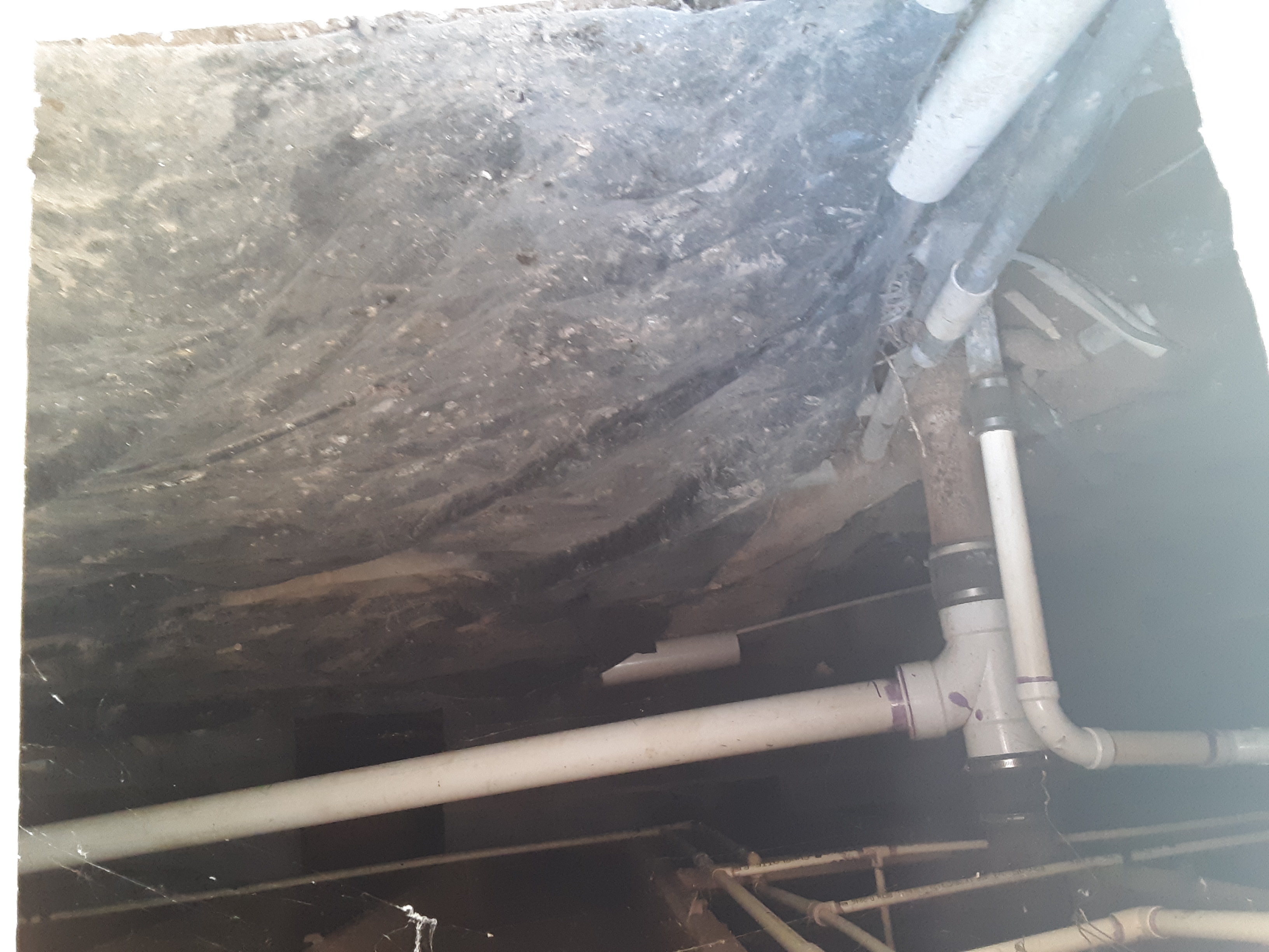 A typical unconditioned crawl space. The exposed flooring structure directly above this area must be heavily insulated to prevent significant thermal loss during winter months.