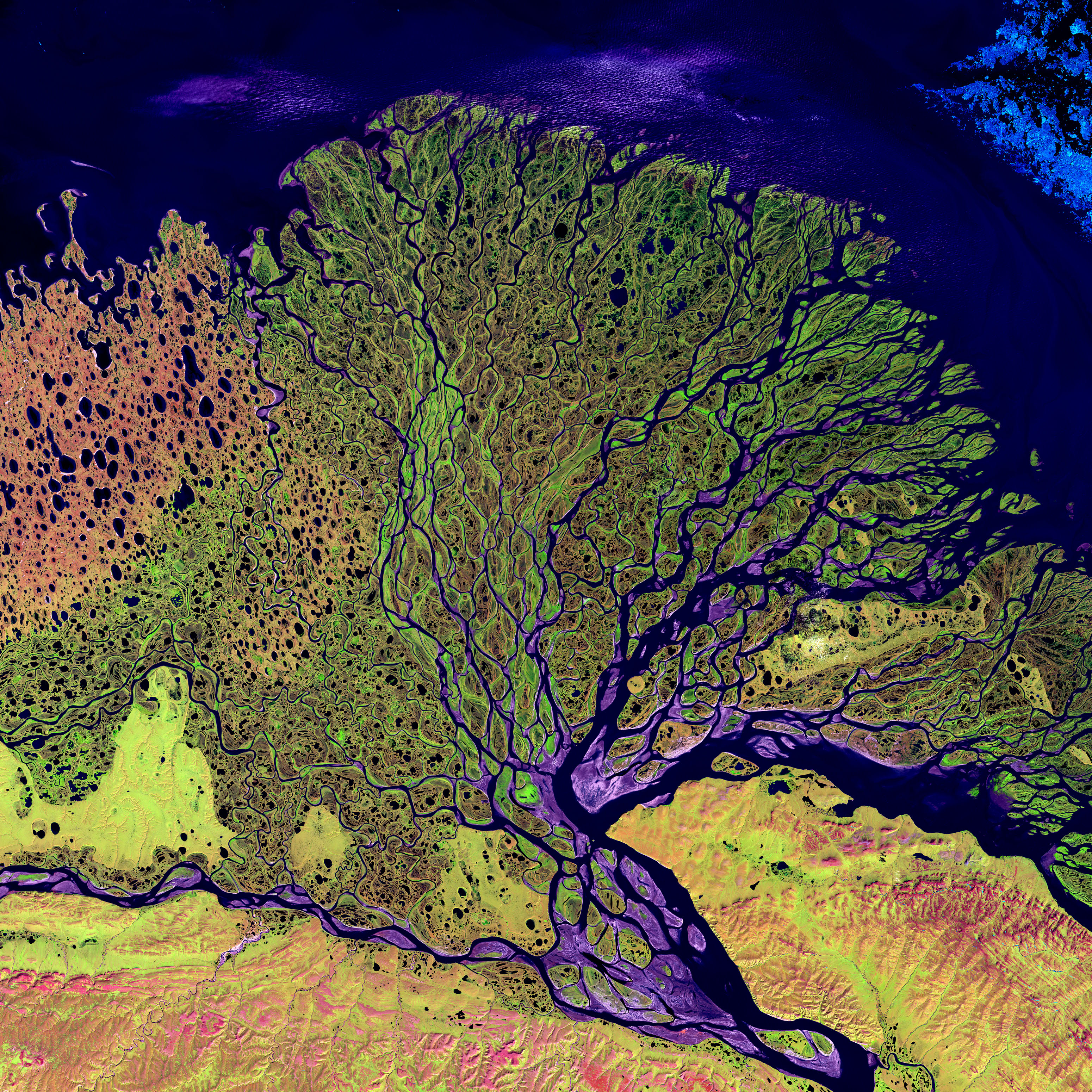 Deposition in action: The Lena River slows down as it meets the ocean, dropping its transported sediment to form a massive triangular delta.