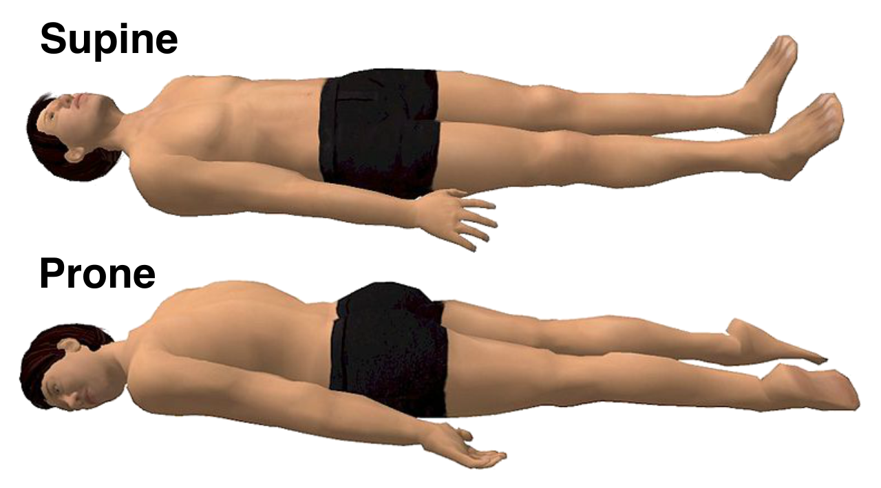 The supine position (lying face up) is essential for abdominal assessments to relax the abdominal musculature, whereas the prone position is lying face down.