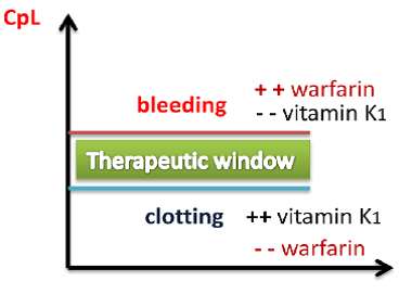 Warfarin operates within a very narrow therapeutic window. High intake of Vitamin K-rich foods antagonizes the drug, dropping the client out of the therapeutic range and increasing the risk of blood clots.