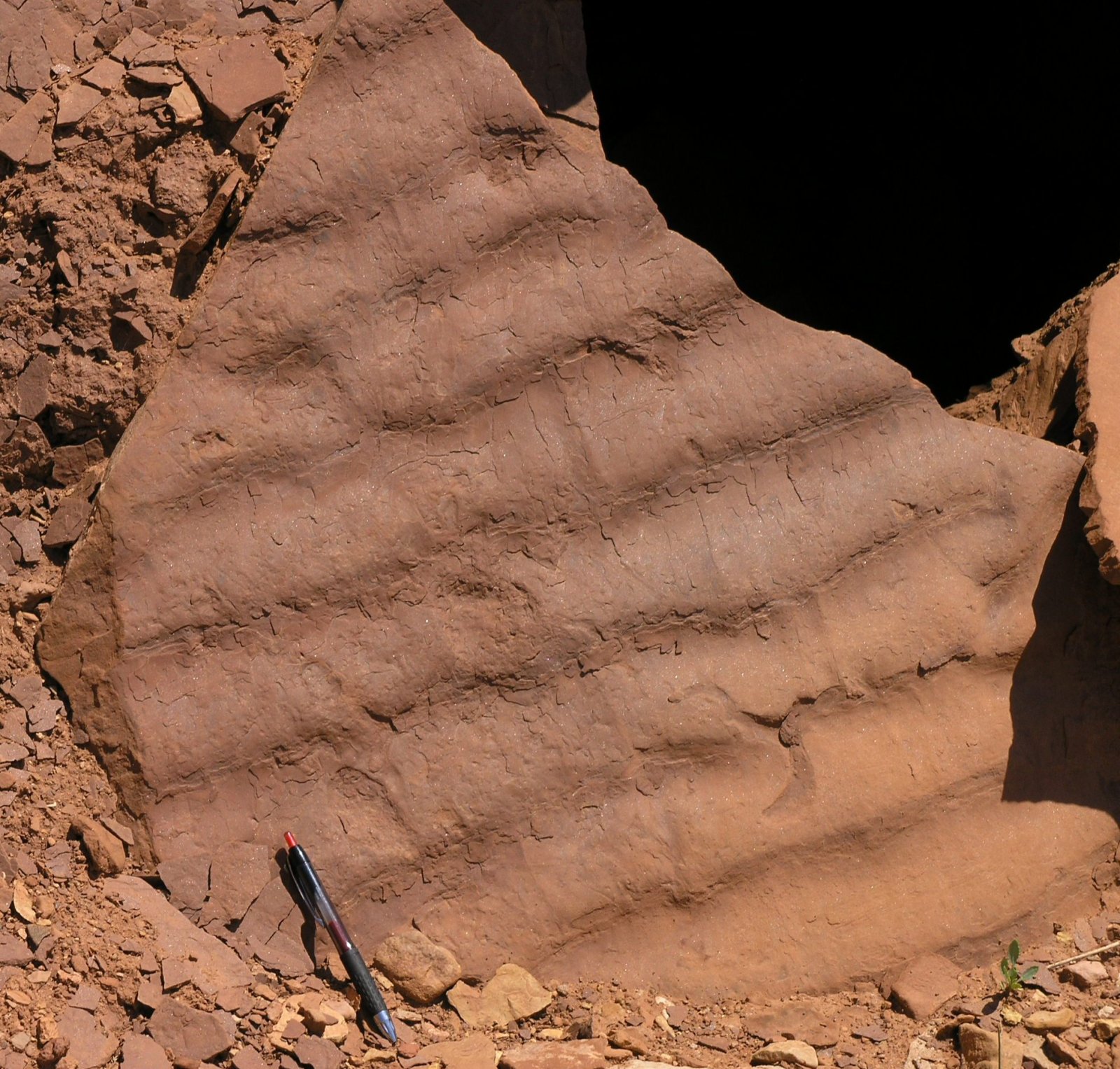 Fossilized ripple marks in solid sandstone serve as historical evidence that a stream or shallow body of water once flowed across this exact location millions of years ago.