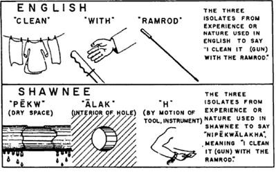 Benjamin Lee Whorf's 1940 illustration comparing how English and Shawnee speakers linguistically construct the action of cleaning a gun, demonstrating the principle of linguistic relativity.