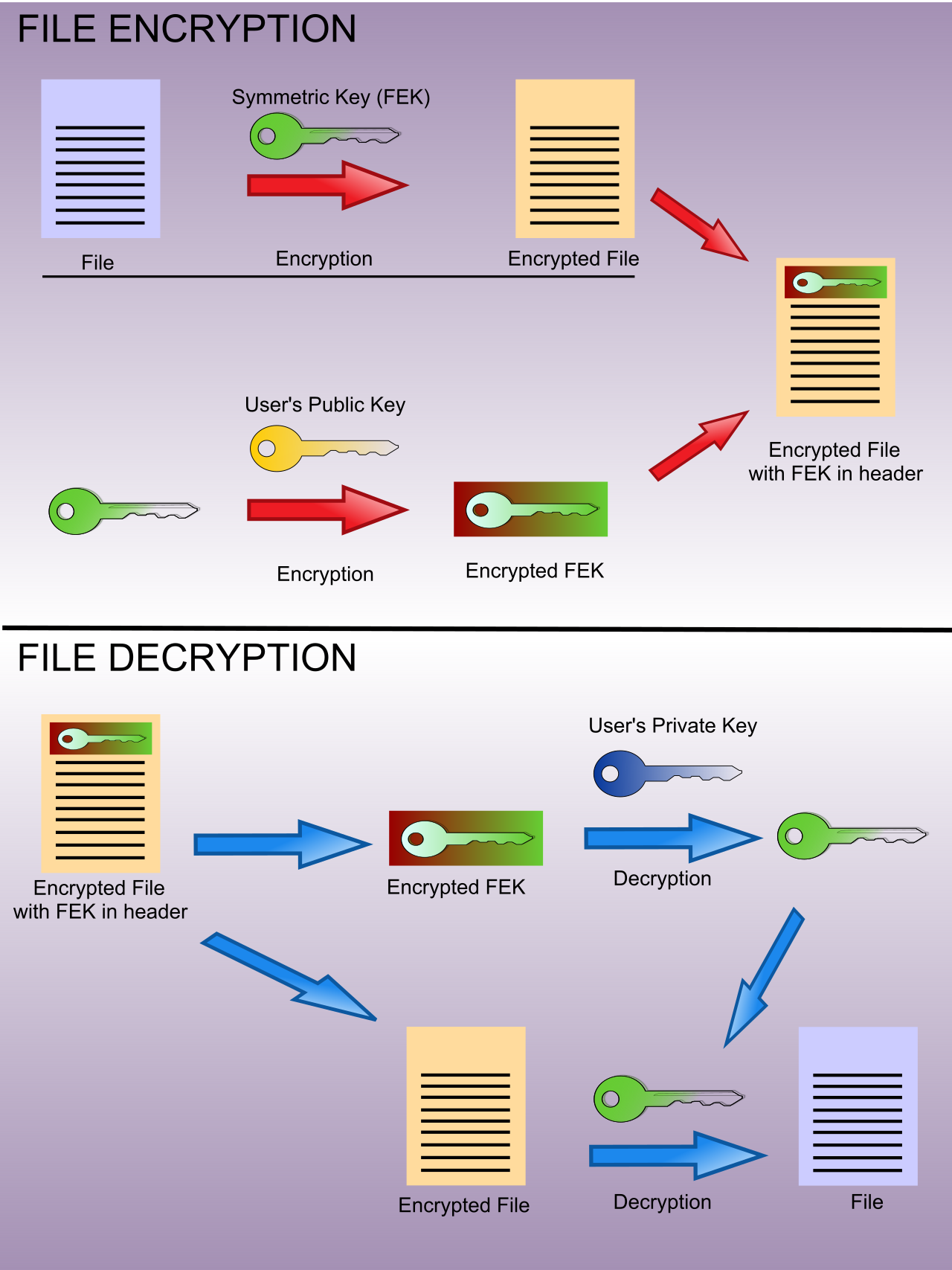 A high-level diagram illustrating file-level encryption (like Windows EFS), where cryptographic protection is applied directly to individual files rather than the entire storage volume.