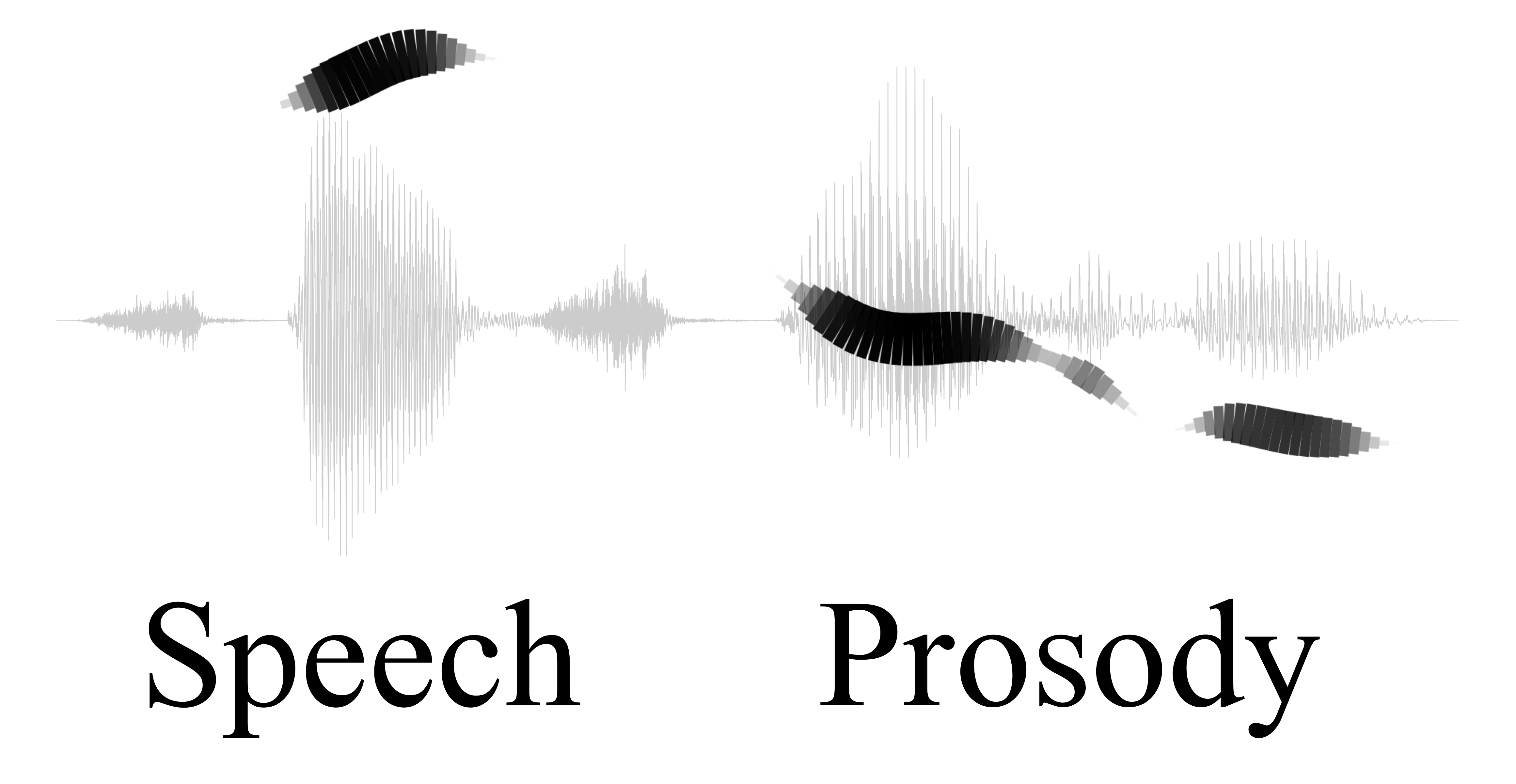 Visualizing speech reveals how prosody—changes in pitch, rhythm, and acoustic energy—highlights key words and structures the auditory experience for the listener.