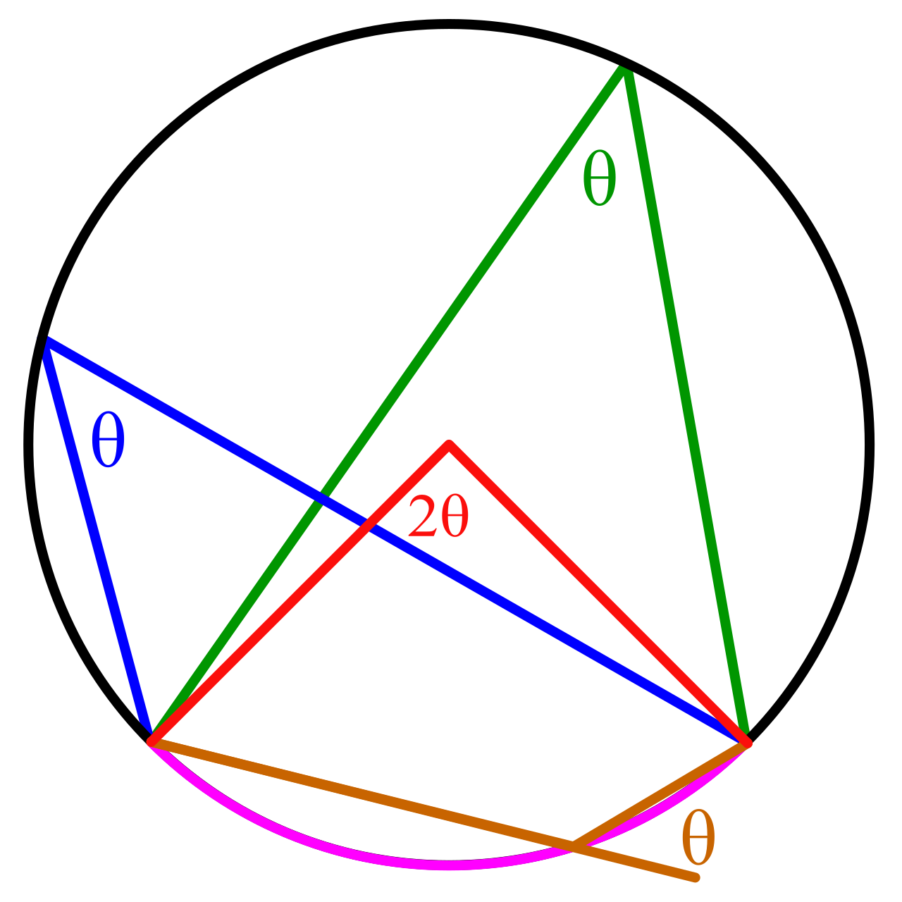 The inscribed angle theorem visually demonstrates that an angle with its vertex on the circle's boundary is exactly half the measure of the central angle that intercepts the same arc.