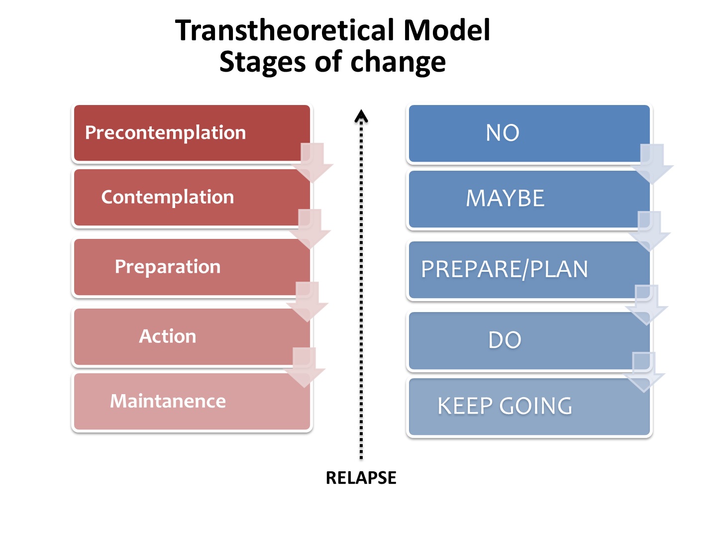 The Transtheoretical Model of Change outlines the progressive stages—from precontemplation to maintenance—that guide effective nursing interventions for lifestyle modifications like smoking cessation.
