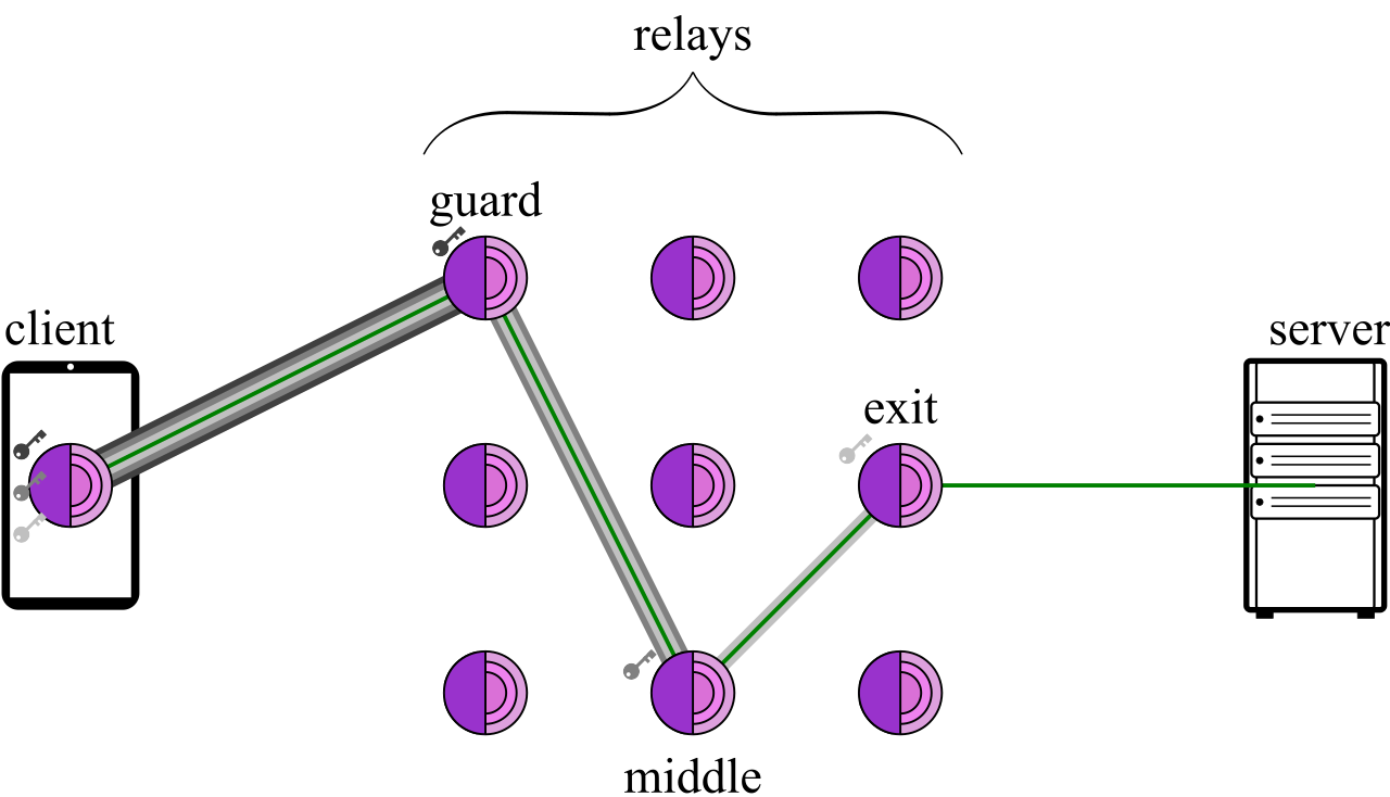 The Tor network provides anonymity by routing traffic through multiple encrypted layers, creating a hidden "dark web" infrastructure where threat actors often securely trade stolen credentials and exploits.
