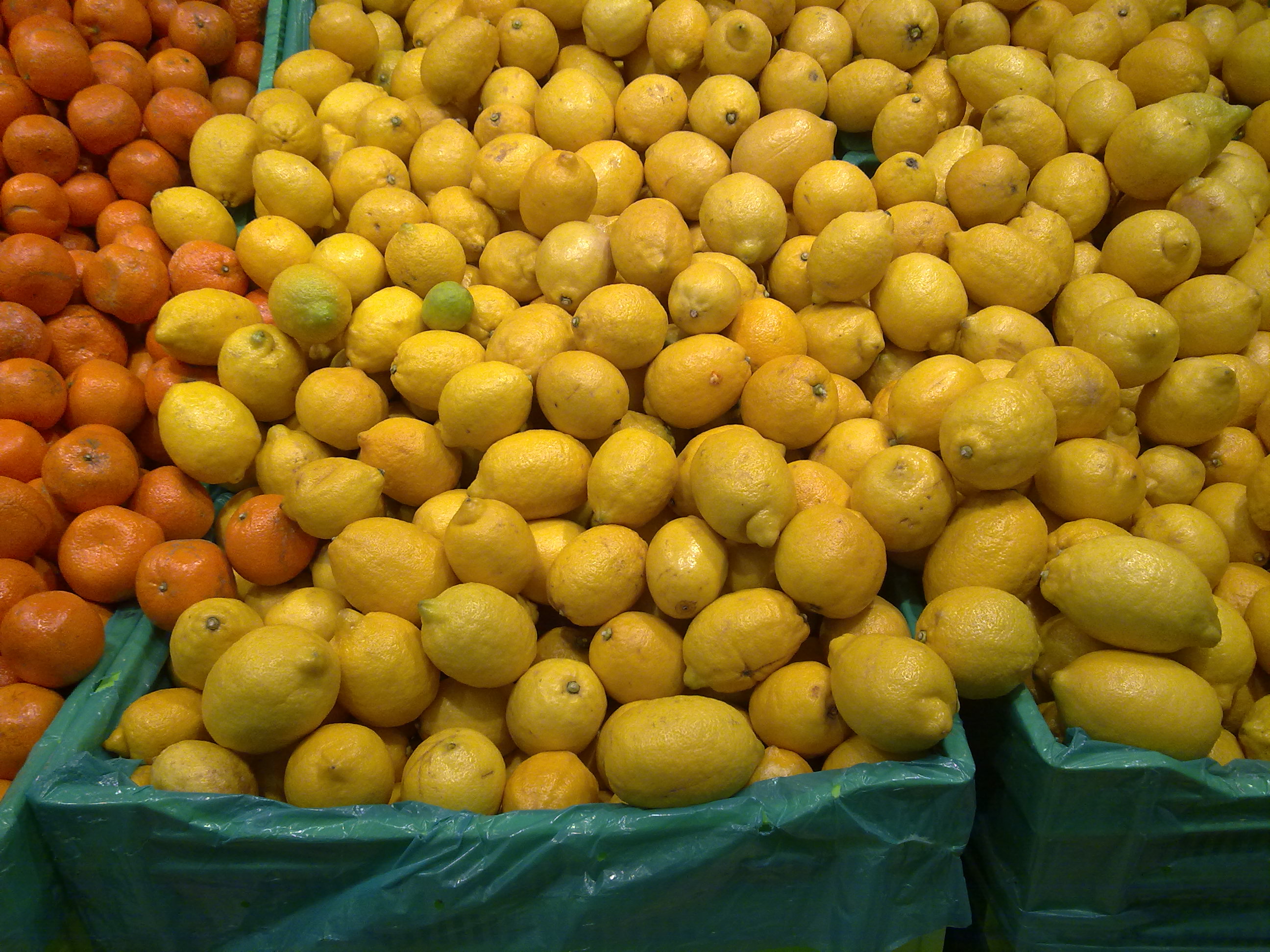 Re Produce Marketing Consortium Ltd, the first wrongful trading case, involved directors of a fruit-importing business held liable for continuing to trade 15 months after insolvent liquidation became unavoidable.
