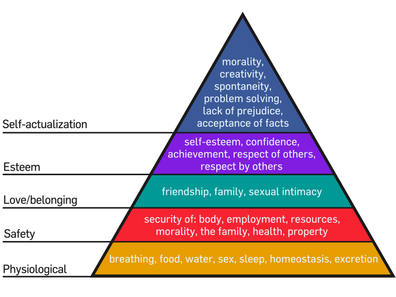 Maslow's Hierarchy of Needs illustrates the distinction between foundational survival needs, such as physiological necessities and safety, and higher-level non-essential wants.
