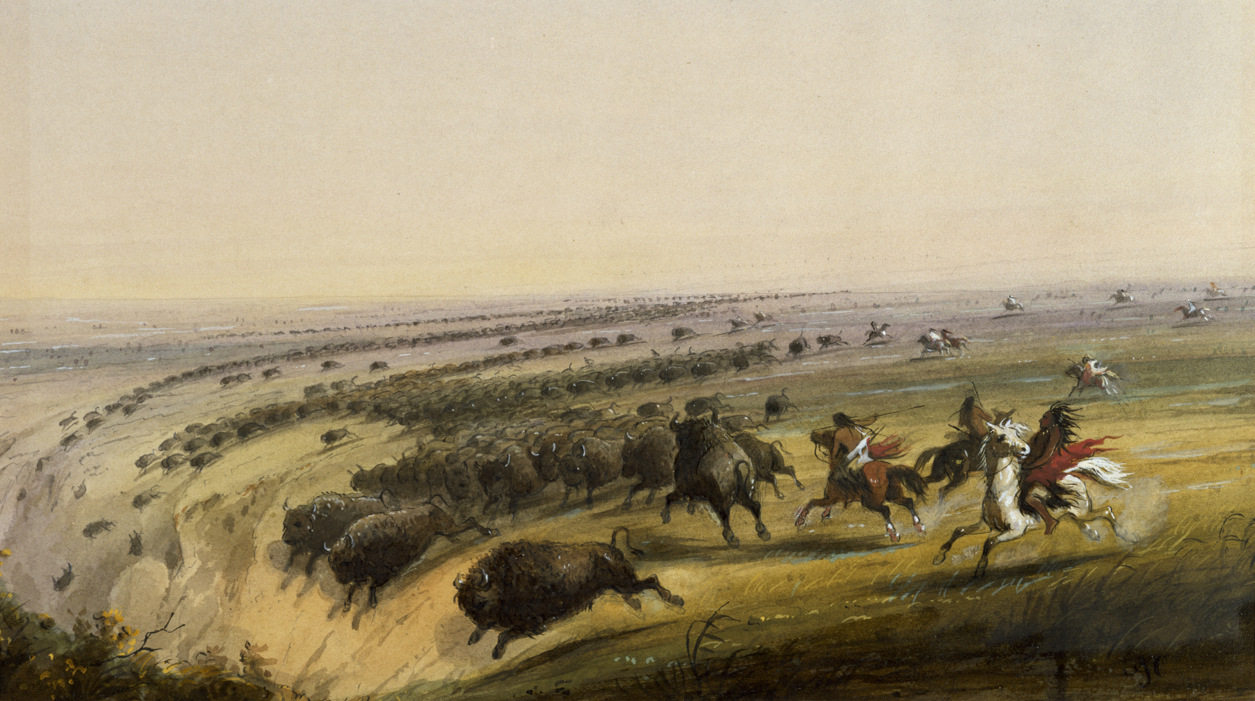 A 19th-century painting depicting a buffalo jump, a highly coordinated hunting tactic used by Plains indigenous groups to drive bison herds over cliffs prior to the introduction of horses.