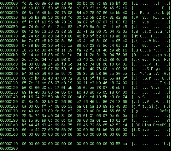 A hex dump displaying the raw binary and machine code of an executable, representing the fundamental level at which debuggers operate.