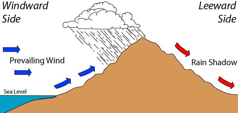 The rain shadow effect occurs when a mountain range forces prevailing winds upward, causing moisture to condense and fall as precipitation on the windward side, leaving the leeward side arid.