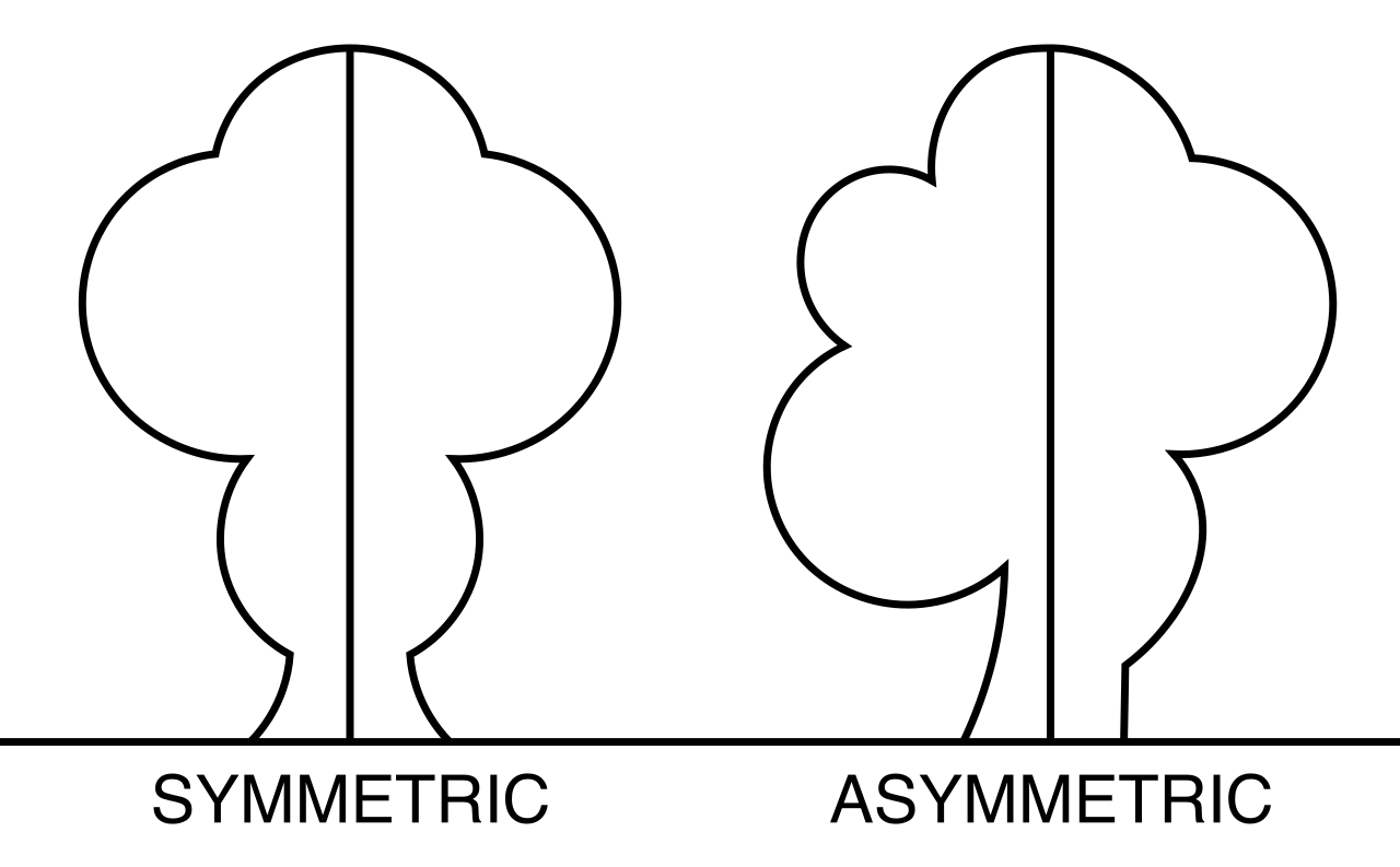 Parallel structure requires grammatical symmetry, ensuring coordinate elements in a sentence are balanced properly to avoid alignment errors.