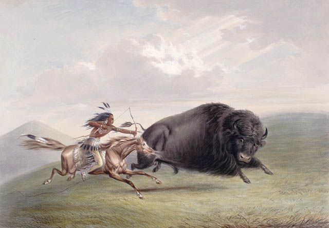The introduction of Old World horses to the Americas fundamentally transformed the hunting and warfare practices of Plains Native American tribes.