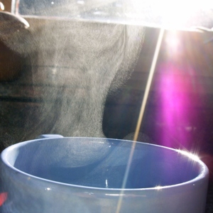 The visible white mist rising from a hot beverage is commonly mistaken for water vapor. In reality, water vapor is completely invisible; the mist consists of microscopic liquid water droplets that have condensed as they cooled.