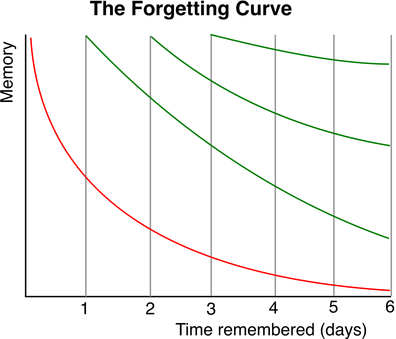 Hermann Ebbinghaus's forgetting curve illustrates how rapidly newly acquired information is lost over time without active rehearsal.