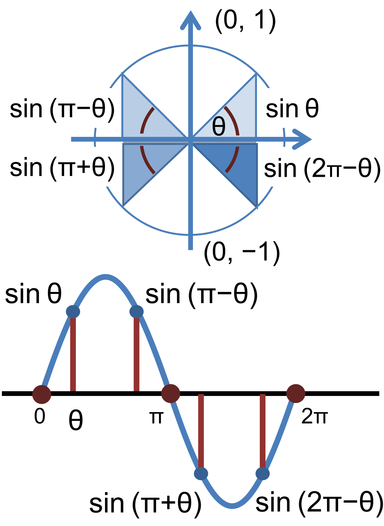 The sine function maps the vertical position of a point on a rotating unit circle over time, translating circular geometry into a continuous, oscillating wave.