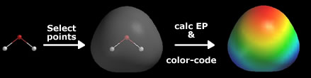 An electrostatic potential map of a water molecule. Because oxygen is highly electronegative, it pulls the shared electrons tightly toward its nucleus, creating a polar molecule with a partial negative charge (red) and partial positive charges (blue).