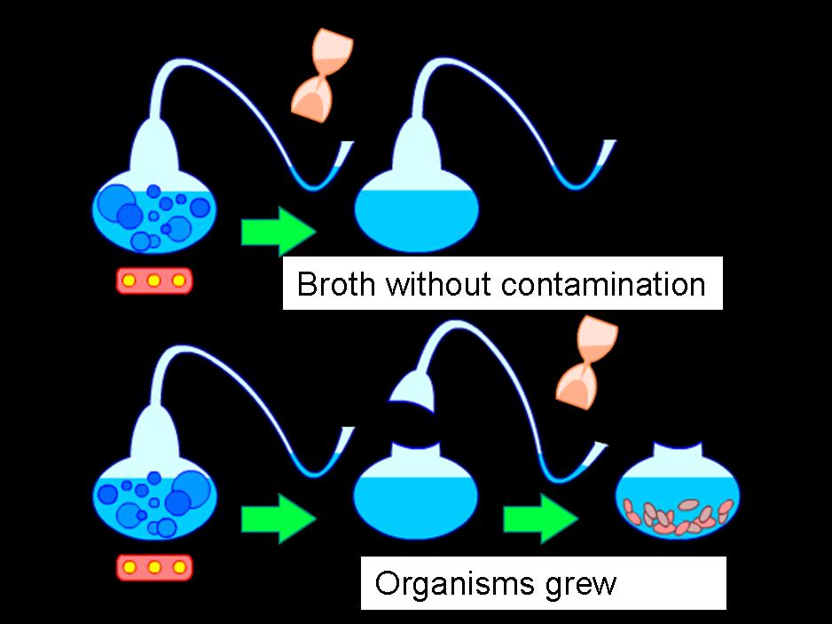 Louis Pasteur's spontaneous generation experiment. This provided reproducible empirical evidence that microorganisms, not "bad air," caused spoilage and disease, directly driving the paradigm shift from the miasma theory to the germ theory.