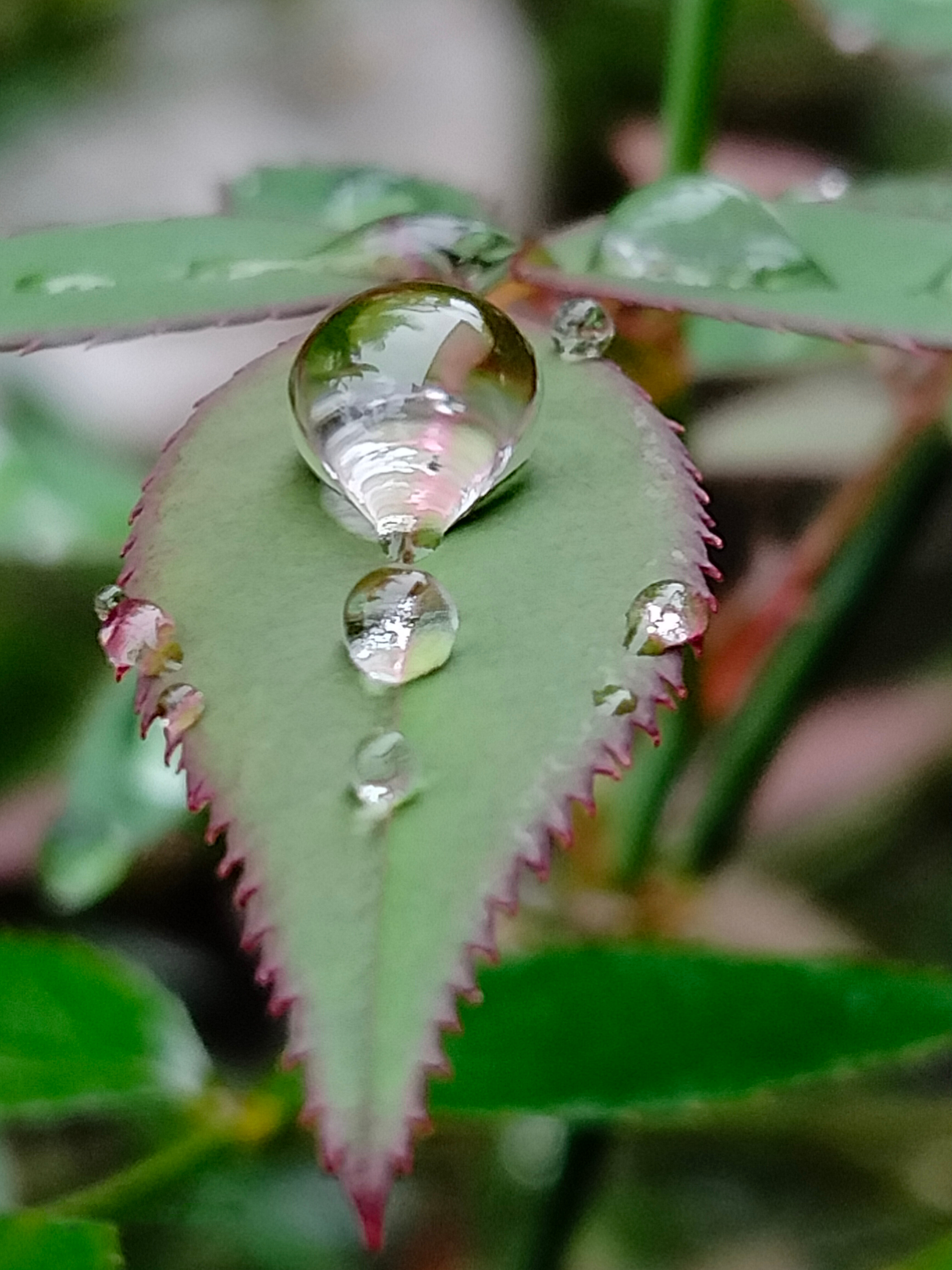 Providing tangible physical context is crucial for young learners; for example, the volume of a single drop of water provides a concrete anchor for the abstract concept of a milliliter.