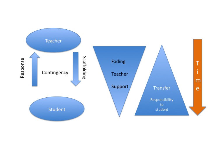 The cycle of instructional scaffolding demonstrates how targeted teacher support is systematically applied and subsequently faded as student independence increases.
