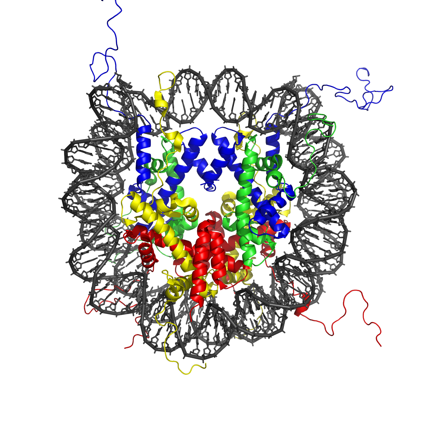Crystal structure of a nucleosome core particle, displaying the central octamer of histone proteins with a segment of DNA tightly wound around its exterior.