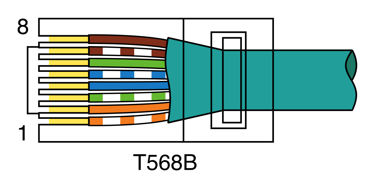 The T568B wiring standard, predominately used in commercial enterprise environments, terminates pin 1 with a white-orange wire.