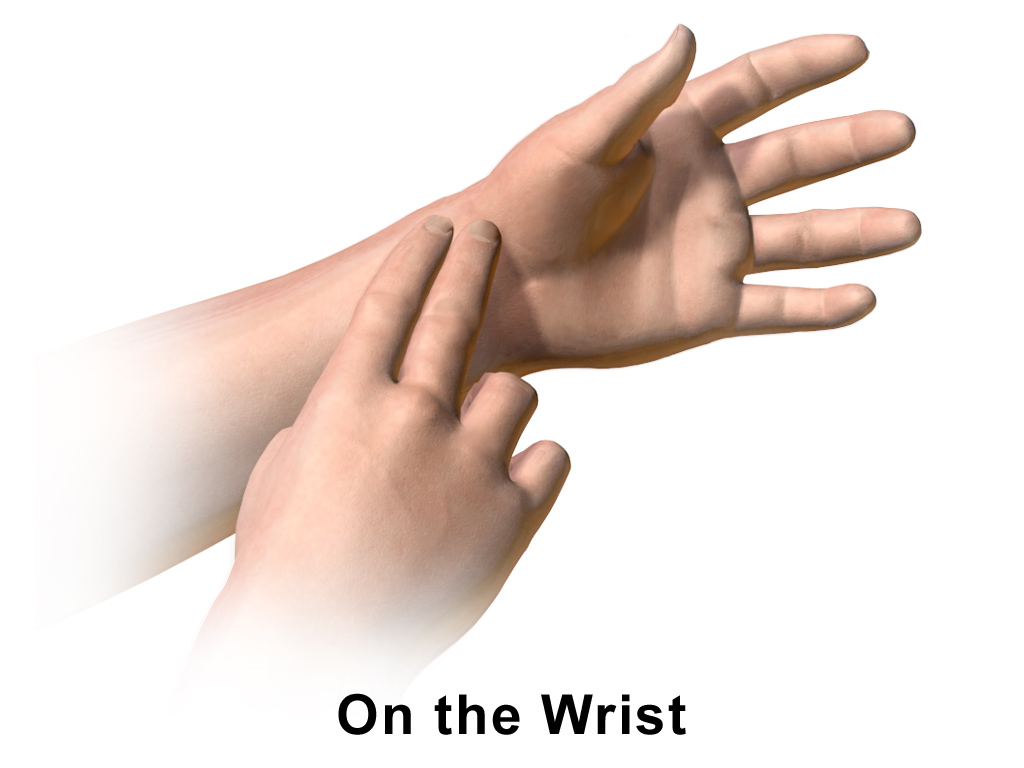 Taking a radial pulse at the wrist. If the rhythm is irregular, the nurse must bypass the wrist and listen directly to the heart via the apical pulse.