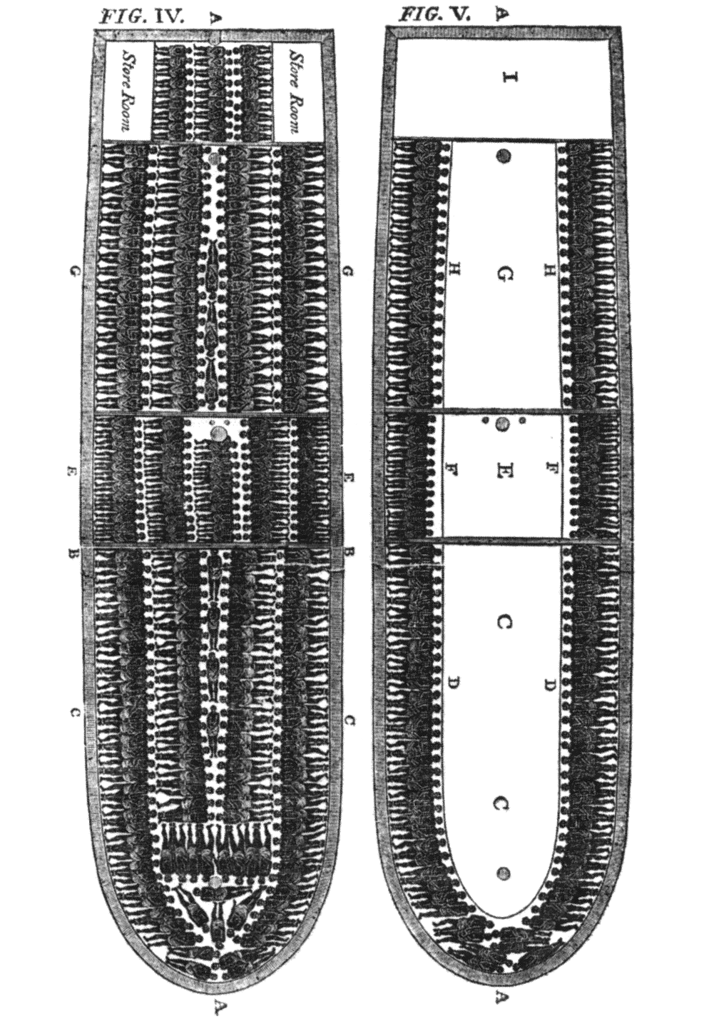 The Brookes slave ship diagram (1788) illustrating the inhumane and severely overcrowded conditions of the Middle Passage.