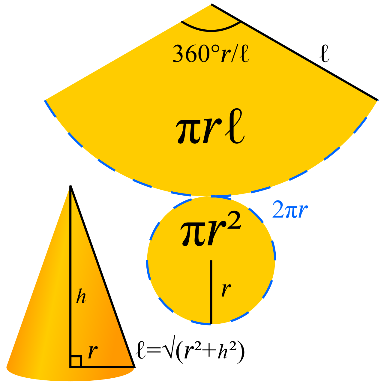 A cone's geometry is defined by its base radius and its slant height. When unfolded into a 2D net, the cone's slant height strictly becomes the radius of the net's circular sector.