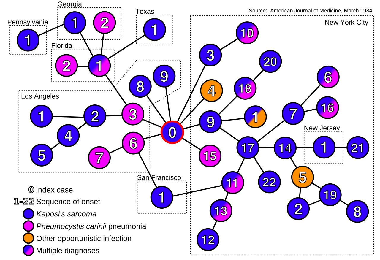 Chronological structures are used to map historical events onto a timeline, such as tracing the early transmission of an outbreak back to a specific index case or "patient zero."