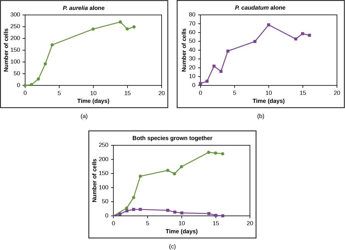 Graph demonstrating Gause's competitive exclusion principle: P. aurelia and P. caudatum exhibit logistic growth when isolated, but P. aurelia completely outcompetes P. caudatum when sharing a single resource environment.