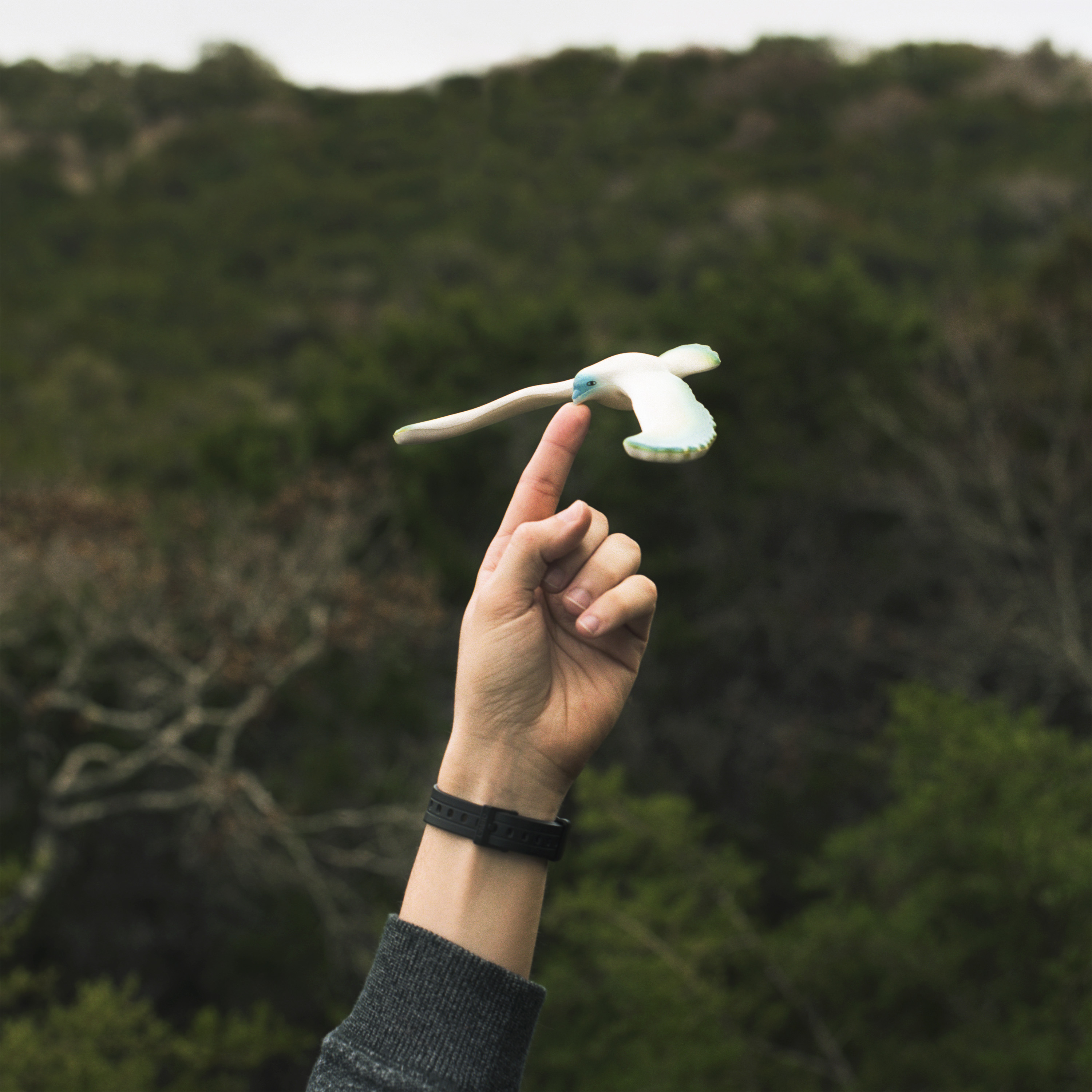 Just as the physical center of mass allows this toy bird to balance on a single point, a measure of central tendency provides a single balancing point for a statistical distribution.