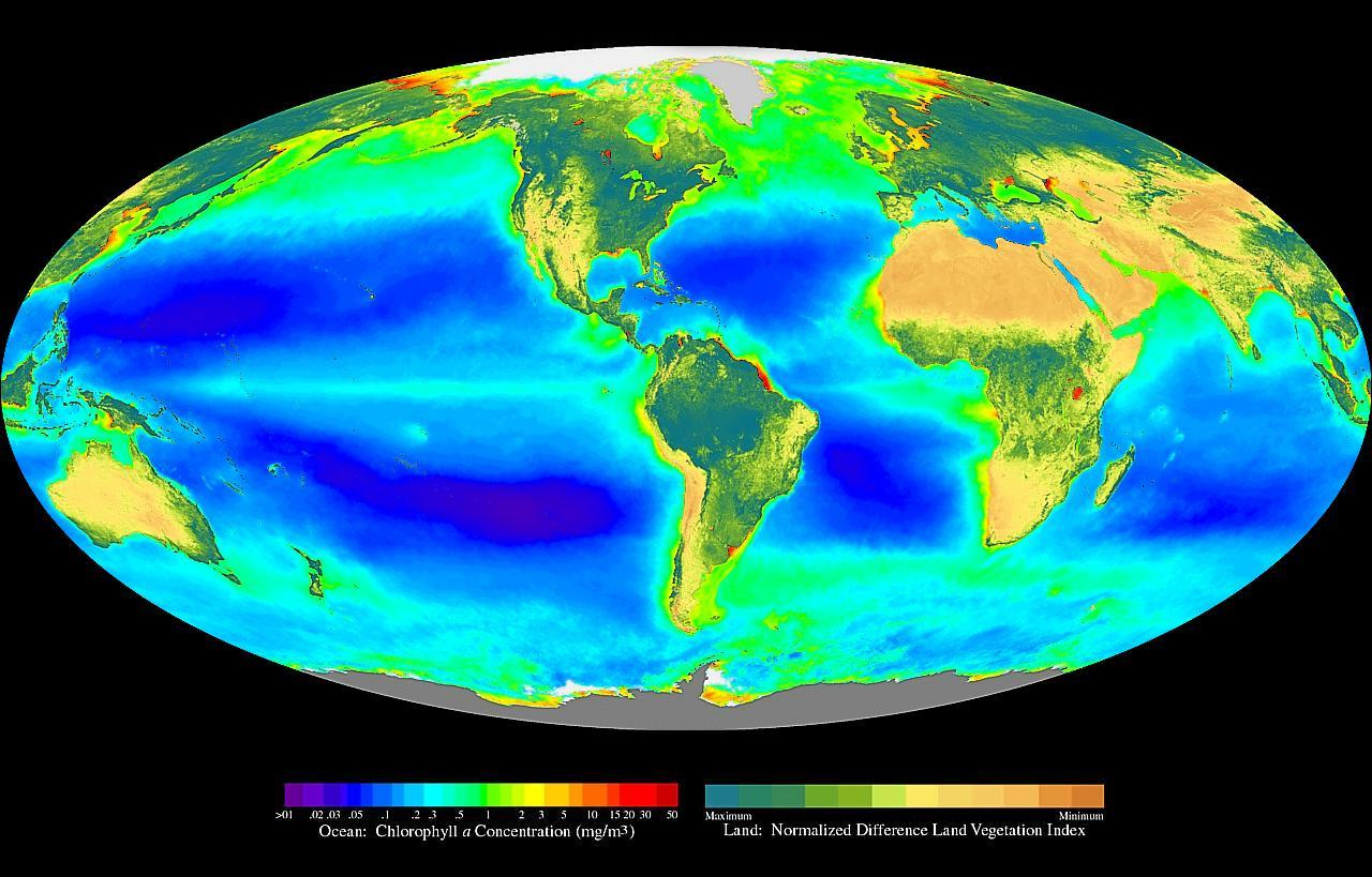 A false-color satellite composite visualizing the global biosphere, highlighting areas of high photosynthetic activity on land and in the oceans.